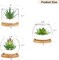 Set of 3 Mini Artificial Succulent Plants in Clear Glass Pots with Bamboo Tray – Realistic Faux Green Desk Plants for Home, Office, Bathroom, Kitchen & Tabletop Decor